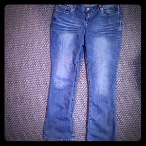 YMI Boot Cut Jeans